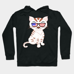 Cute Kitty Cat 4th July Usa American Flag Sunglasses Gift Hoodie